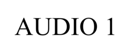 AUDIO 1