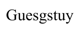 GUESGSTUY