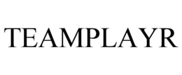 TEAMPLAYR