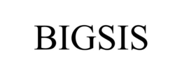 BIGSIS