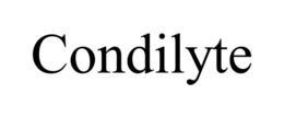CONDILYTE