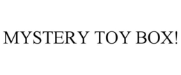 MYSTERY TOY BOX!