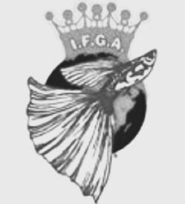 I.F.G.A.