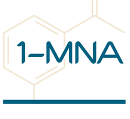 1-MNA