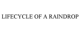 LIFECYCLE OF A RAINDROP