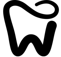 98024619