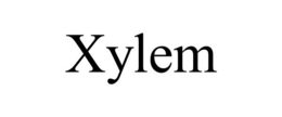 XYLEM