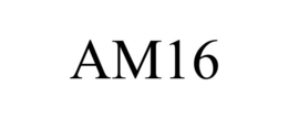 AM16