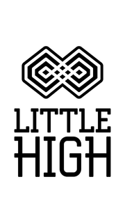 8 LITTLE HIGH