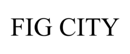 FIG CITY