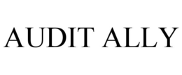 AUDIT ALLY