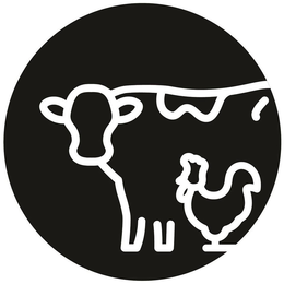 98046420