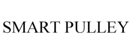 SMART PULLEY