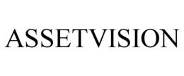 ASSETVISION