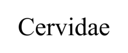 CERVIDAE