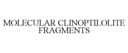 MOLECULAR CLINOPTILOLITE FRAGMENTS