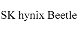 SK HYNIX BEETLE