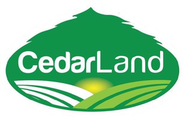 CEDARLAND