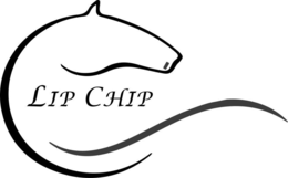 LIP CHIP
