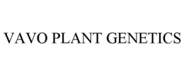 VAVO PLANT GENETICS