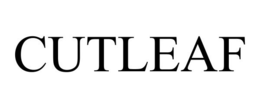 CUTLEAF