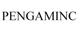 PENGAMINC
