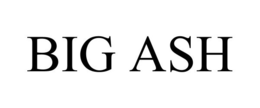 BIG ASH
