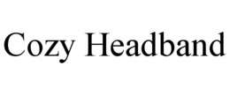 COZY HEADBAND
