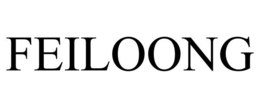FEILOONG