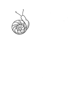 98190294