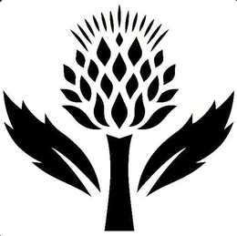 98193116