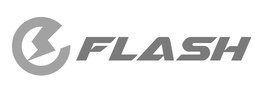 E FLASH