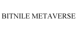 BITNILE METAVERSE
