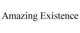 AMAZING EXISTENCE
