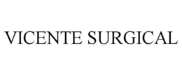 VICENTE SURGICAL