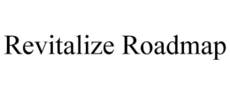 REVITALIZE ROADMAP