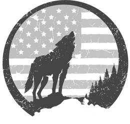 98261062