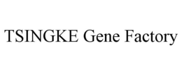 TSINGKE GENE FACTORY