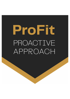 PROFIT PROACTIVE APPROACH