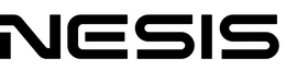 NESIS