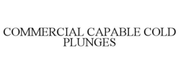 COMMERCIAL CAPABLE COLD PLUNGES
