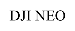DJI NEO