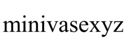 MINIVASEXYZ