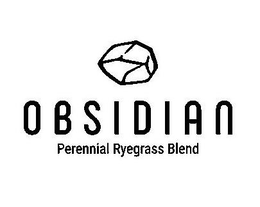 OBSIDIAN PERENNIAL RYEGRASS BLEND