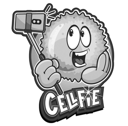 CELLFIE