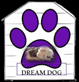 DREAM DOG