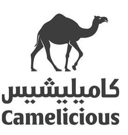 CAMELICIOUS