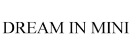 DREAM IN MINI