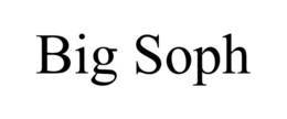BIG SOPH