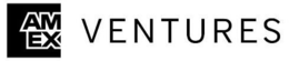 AM EX VENTURES